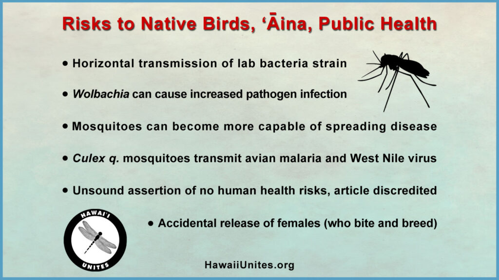 Insect Health Risks Risks - Hawaii Unites